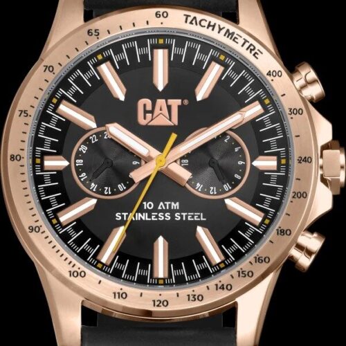 MONTRE AD BOSTON  NOIRE / OR ROSE
