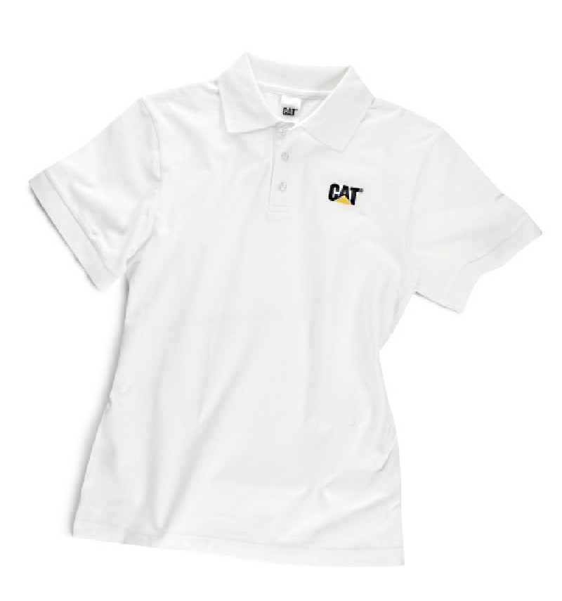 Polo sydney CAT